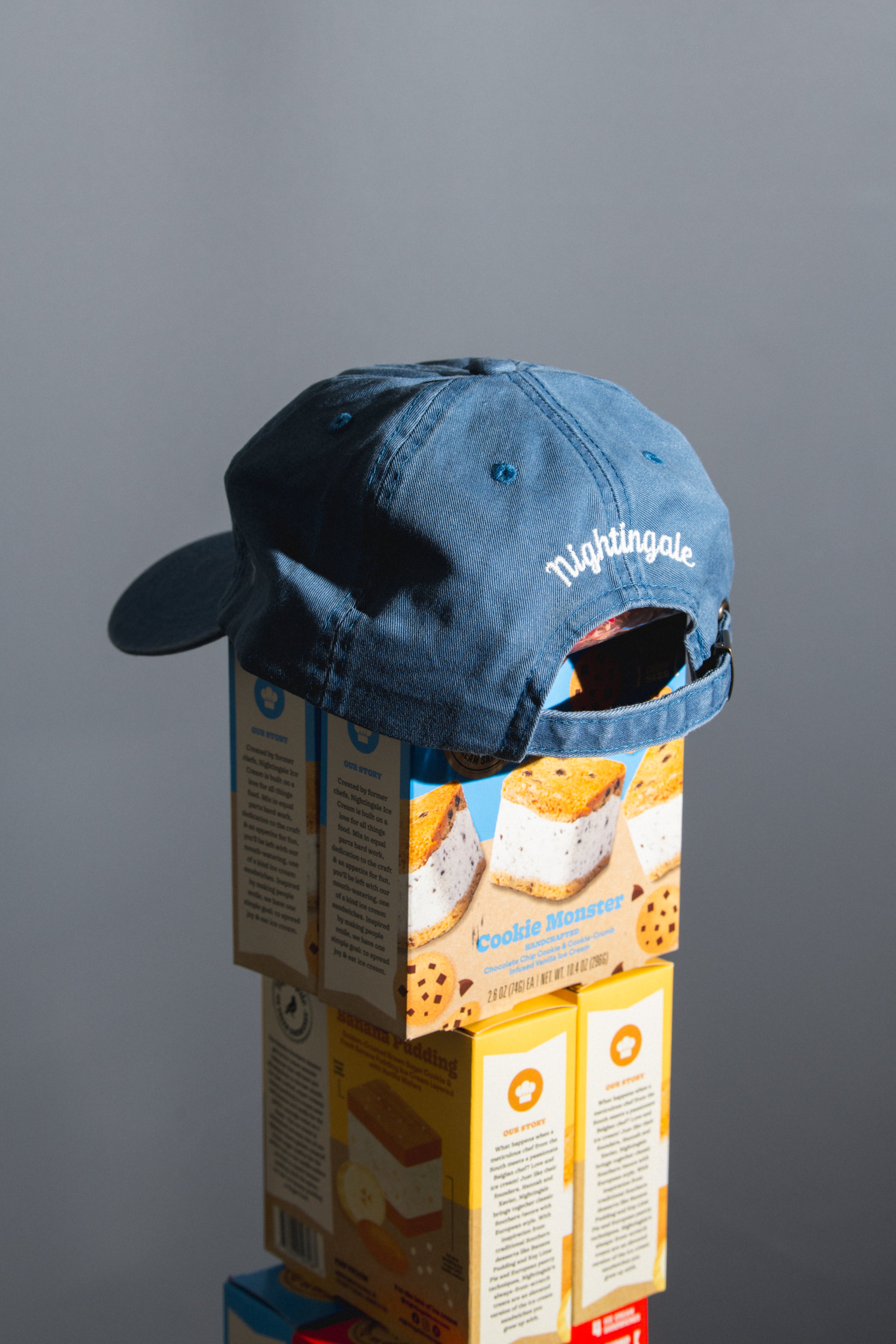 Sammie Embroidered Dad Hat | Cookie Monster