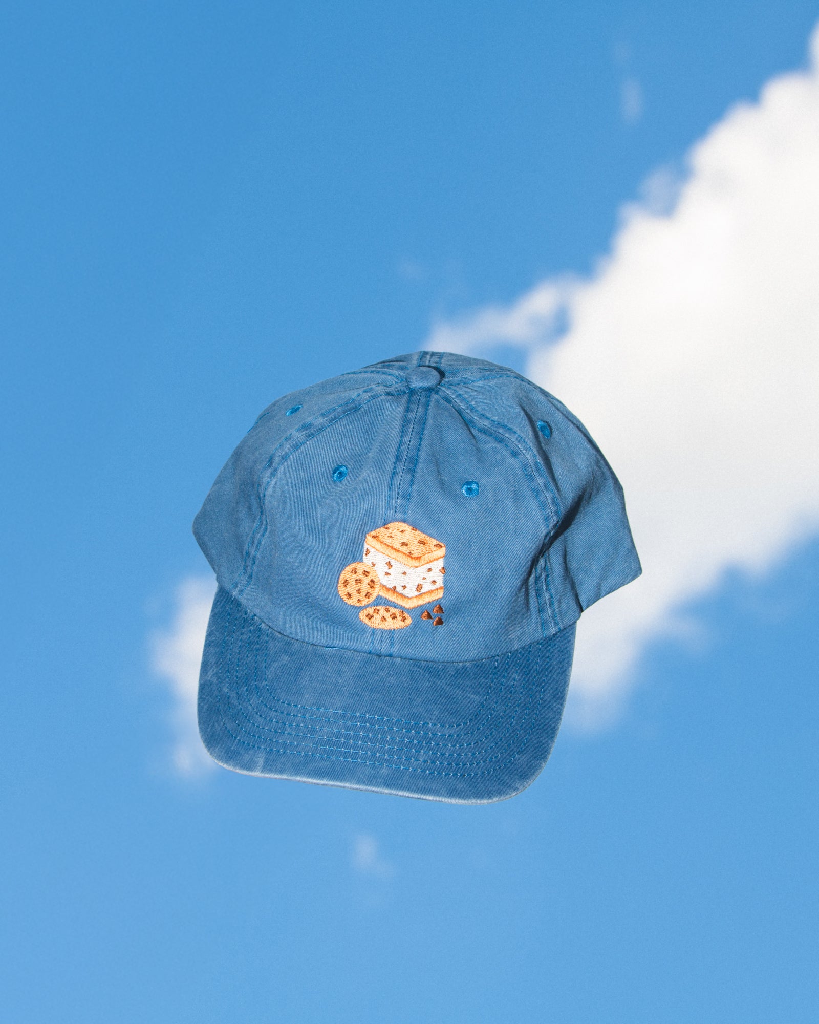 Sammie Embroidered Dad Hat | Cookie Monster