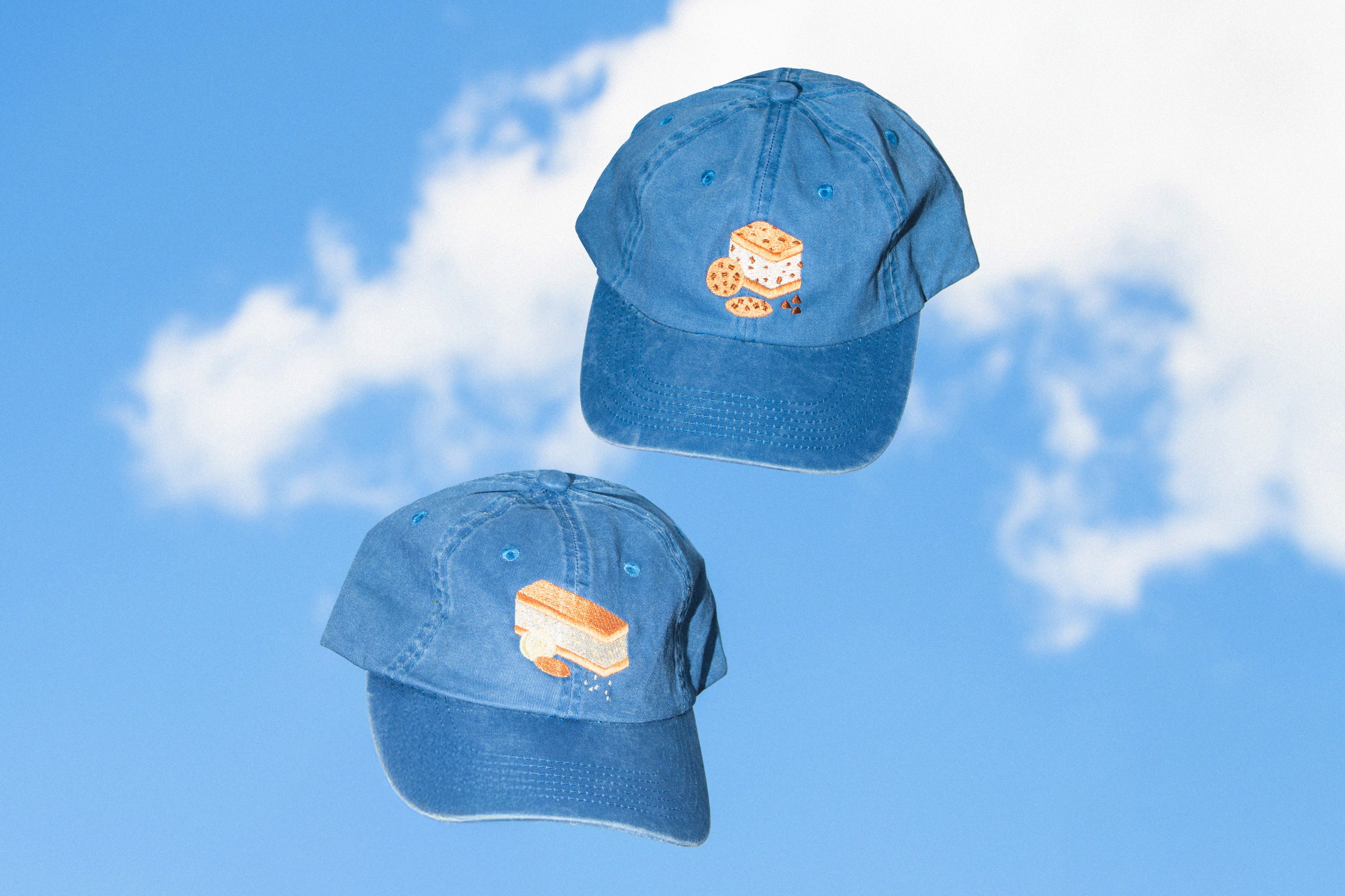 Sammie Embroidered Dad Hat | Cookie Monster