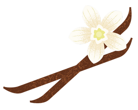 nightingale-ice-cream-flavors-vanilla