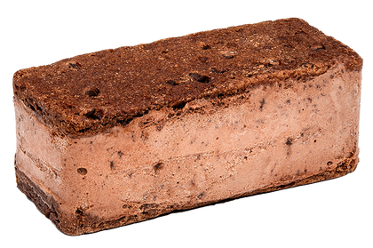 Chocolate Blackout